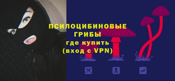 МДПВ Алексеевка