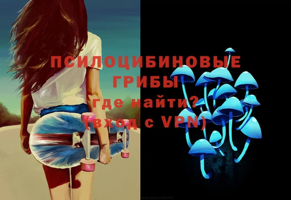 индика Михайловка